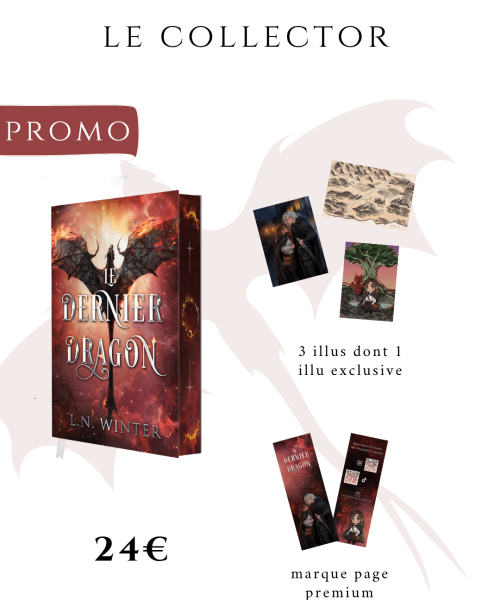 Le dernier dragon occasion romantasy one shot
