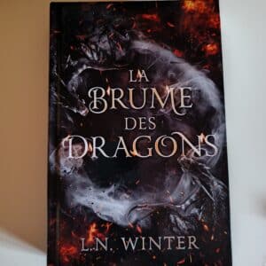 La brume des dragons d'occasion relié