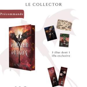 one shot romantasy Le dernier dragon collector